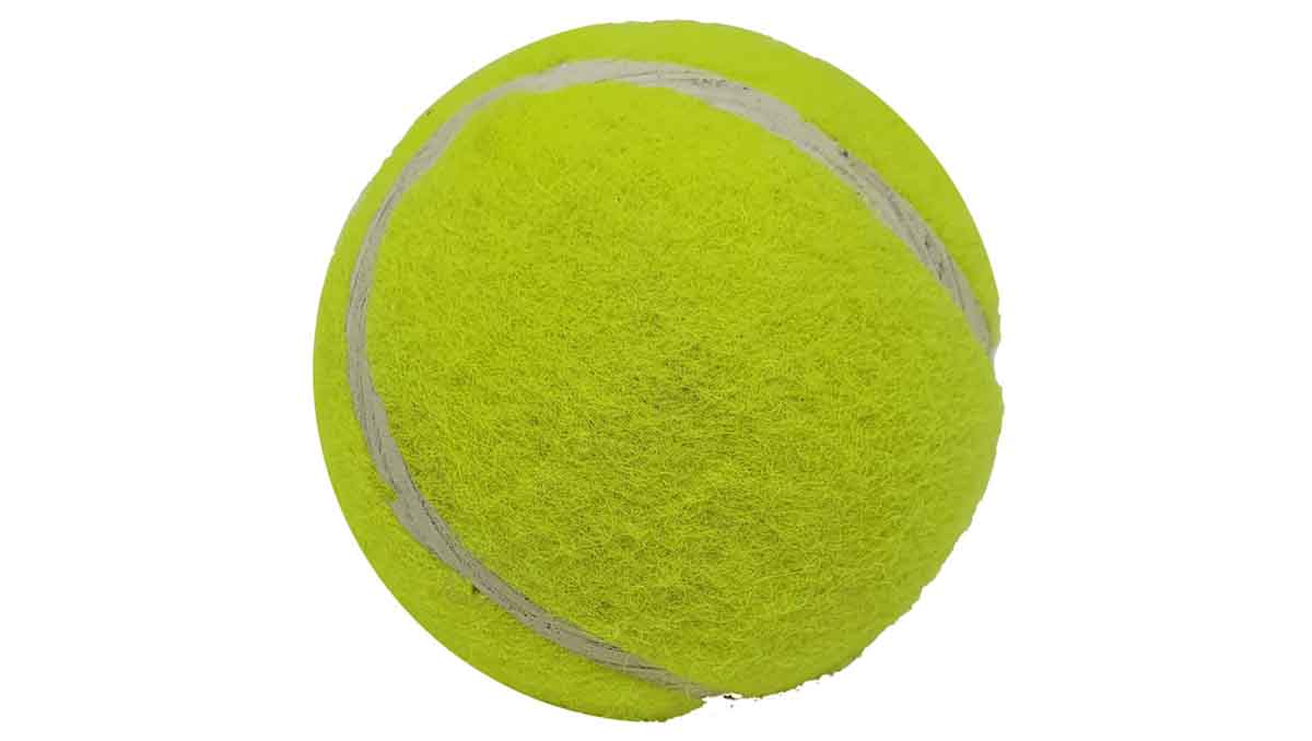 Big Game Hunters Tennis Ball For Dogs